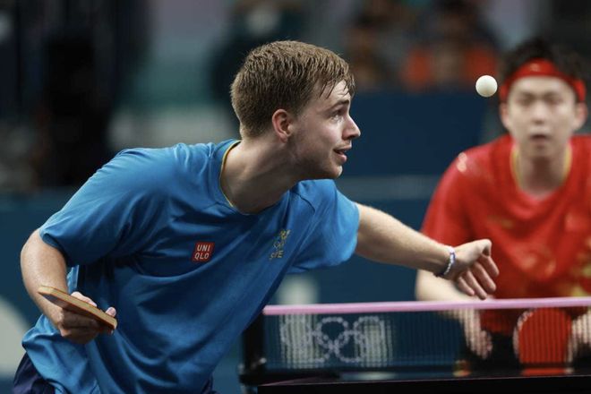 球迷与专家 球迷与专家